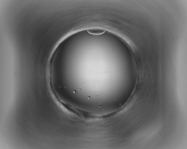 X0000113541526200909250916