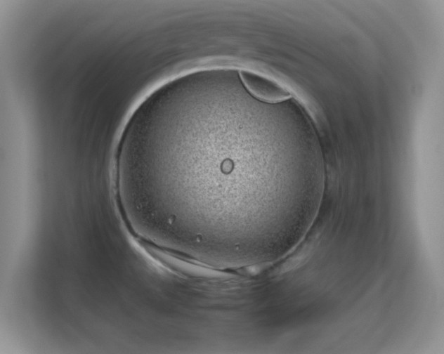 X0000113541527200909250916
