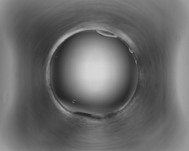 X0000113541528200909250916