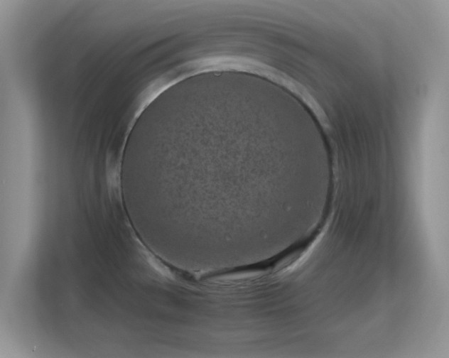 X0000113541529200909250916
