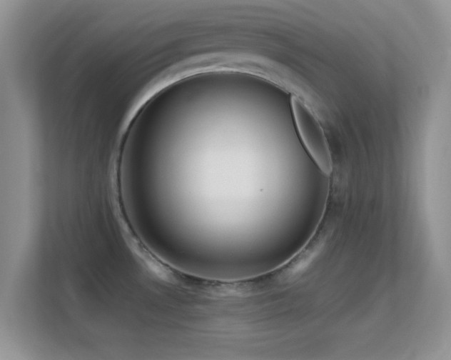 X0000113541530200909250916