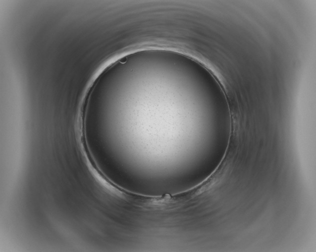 X0000113541531200909250916