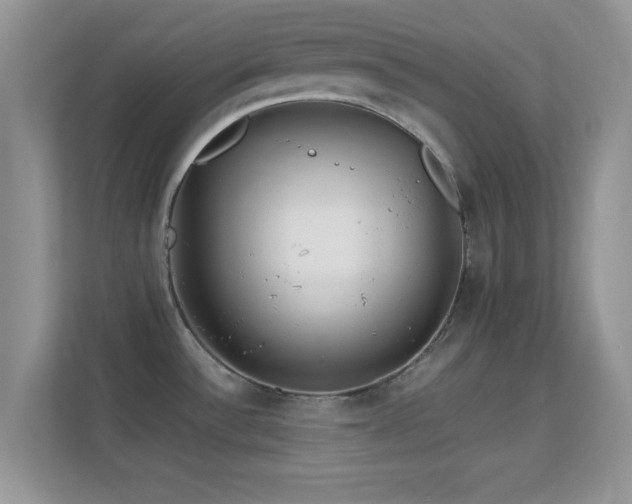 X0000113541532200909250916