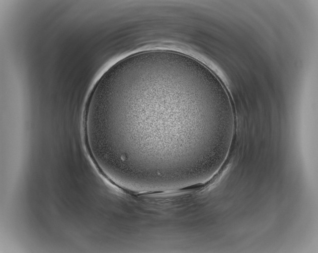 X0000113541533200909250916