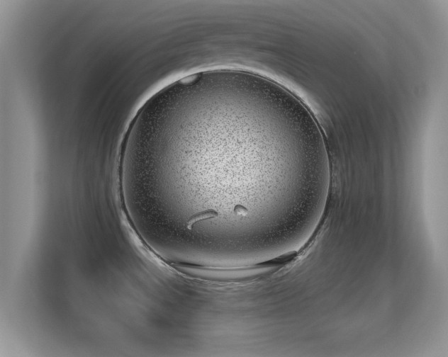 X0000113541534200909250916