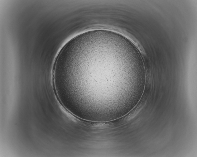 X0000113541535200909250916