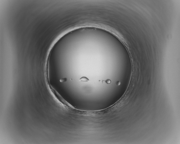 X0000113541536200909250916