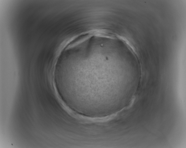 X0000113540001200910021359