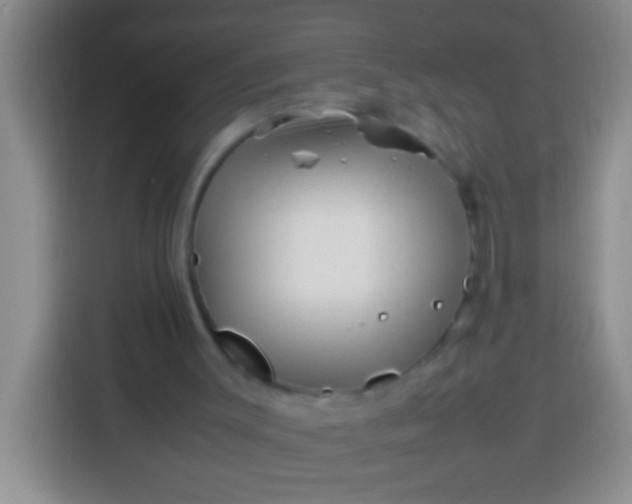 X0000113540003200910021359