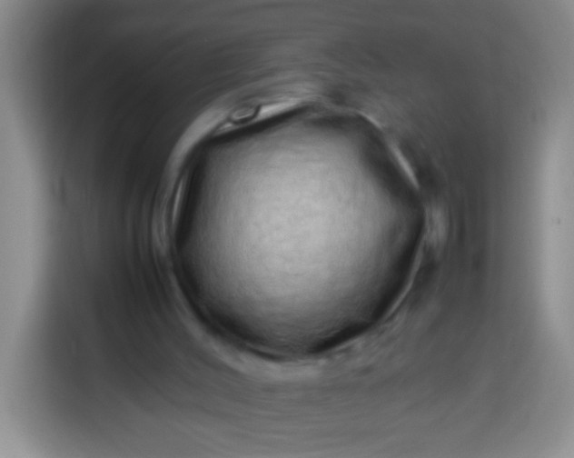 X0000113540004200910021359