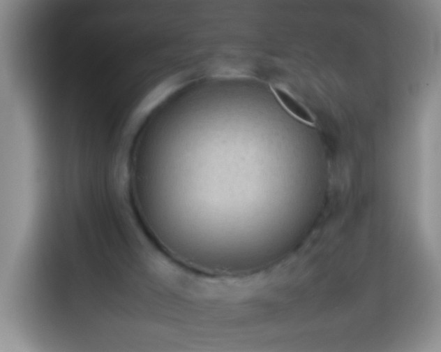 X0000113540005200910021359