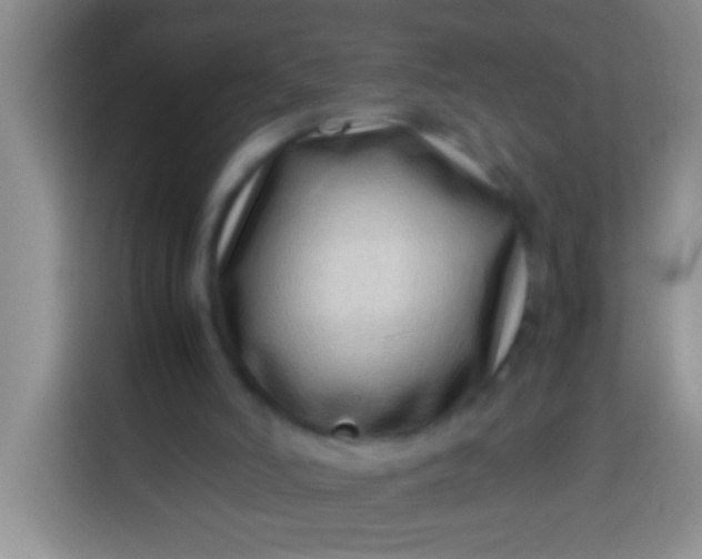 X0000113540006200910021359