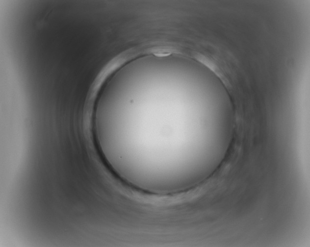 X0000113540007200910021359