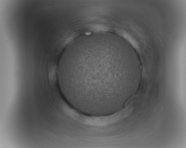 X0000113540009200910021359