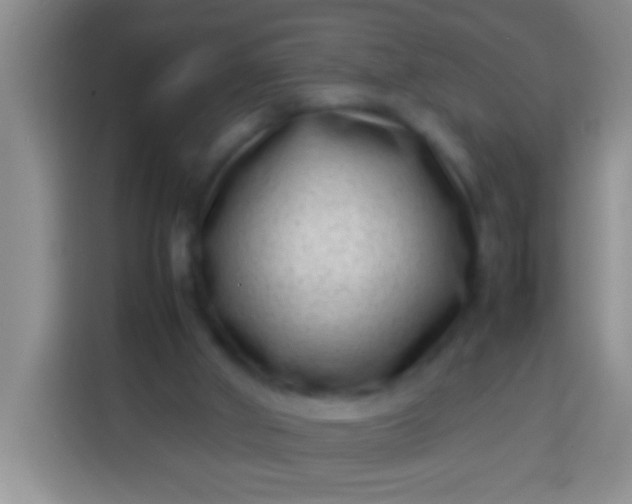 X0000113540010200910021359