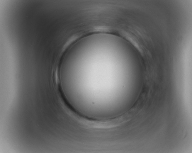 X0000113540011200910021359