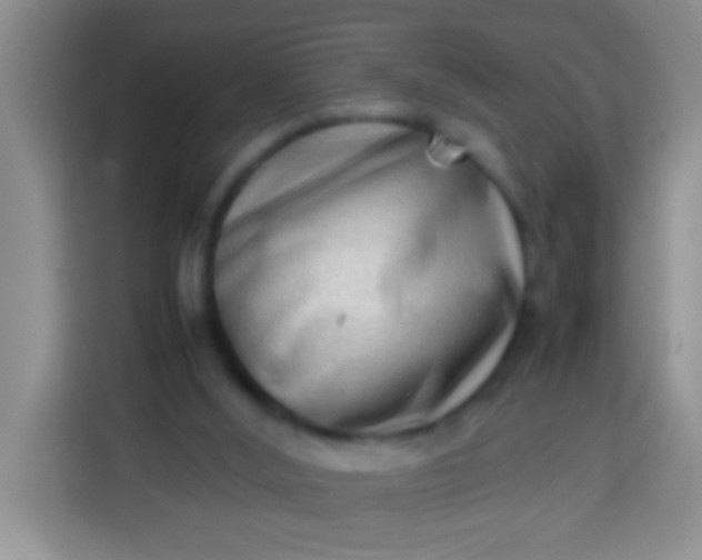 X0000113540012200910021358