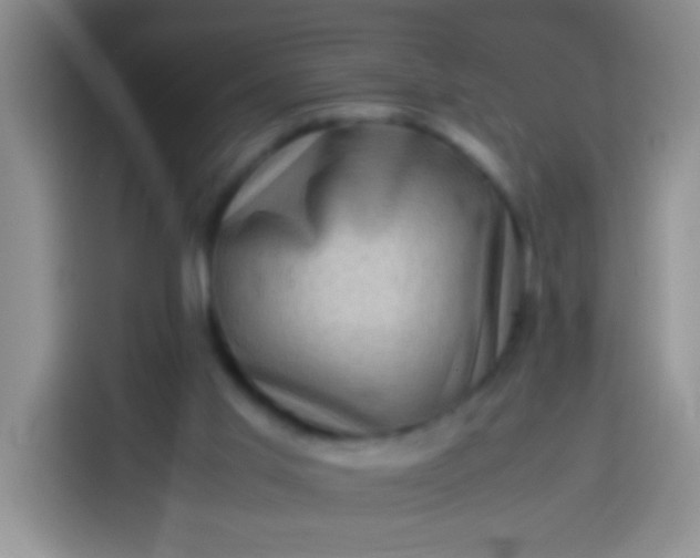 X0000113540013200910021358