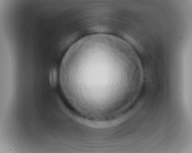 X0000113540014200910021358