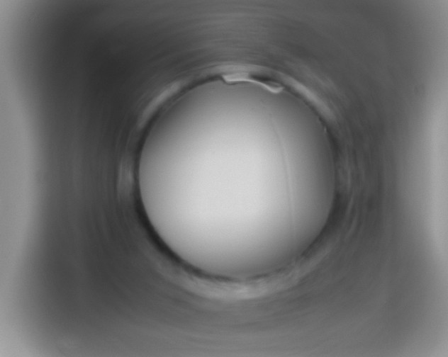 X0000113540015200910021358