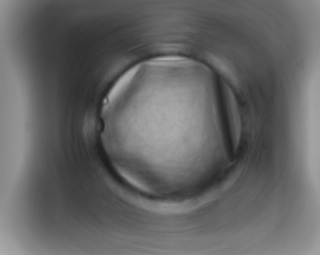 X0000113540016200910021358