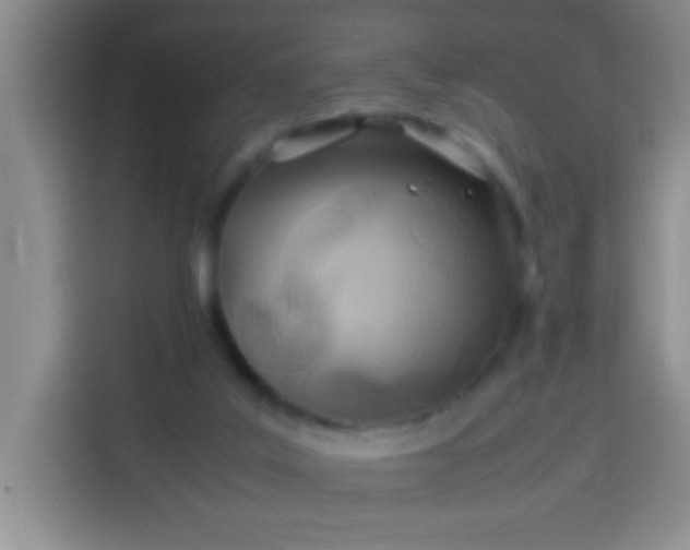 X0000113540019200910021358