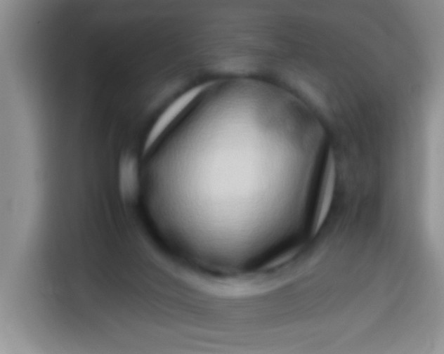 X0000113540020200910021358