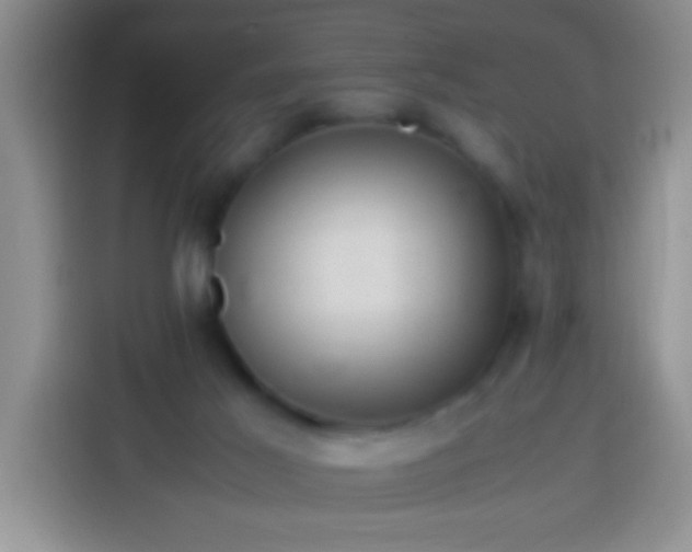 X0000113540021200910021358