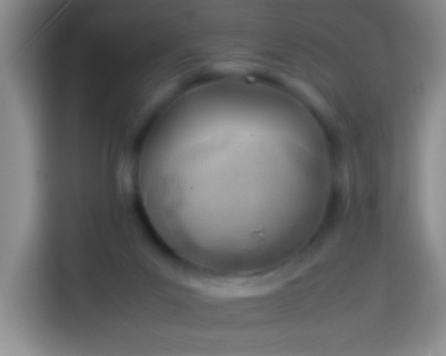 X0000113540023200910021358