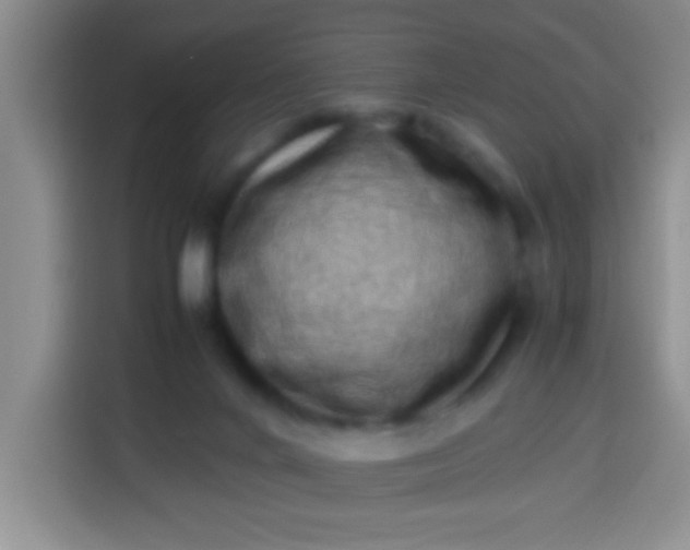 X0000113540024200910021358