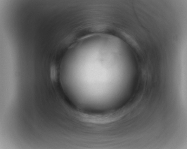 X0000113540026200910021358