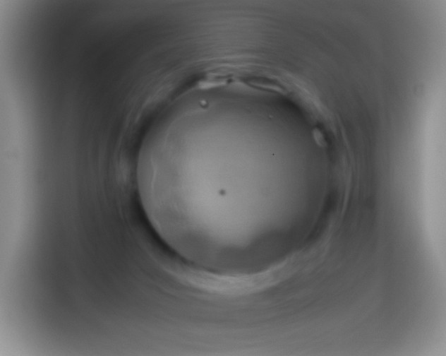 X0000113540031200910021358