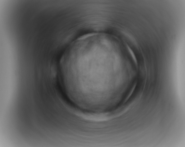 X0000113540032200910021358