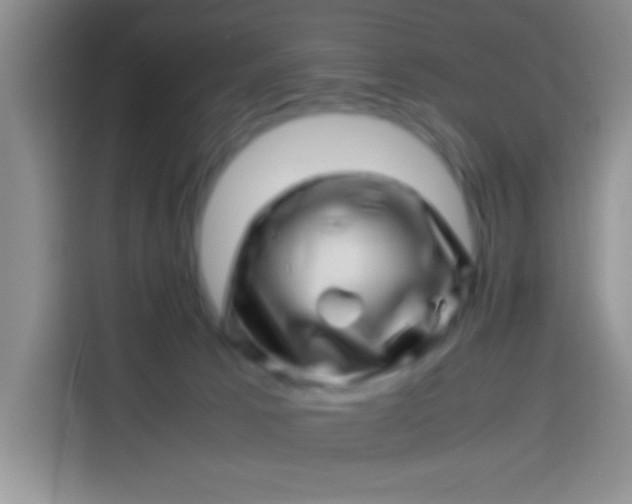 X0000113540033200910021358