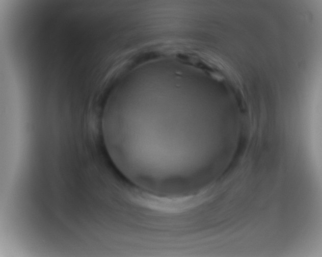 X0000113540035200910021358