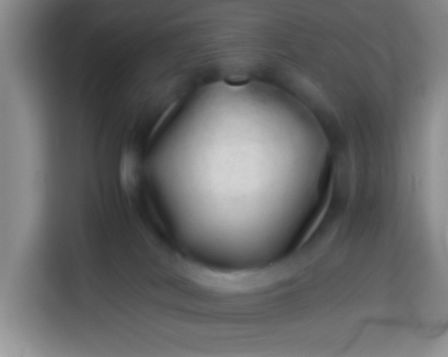 X0000113540038200910021358