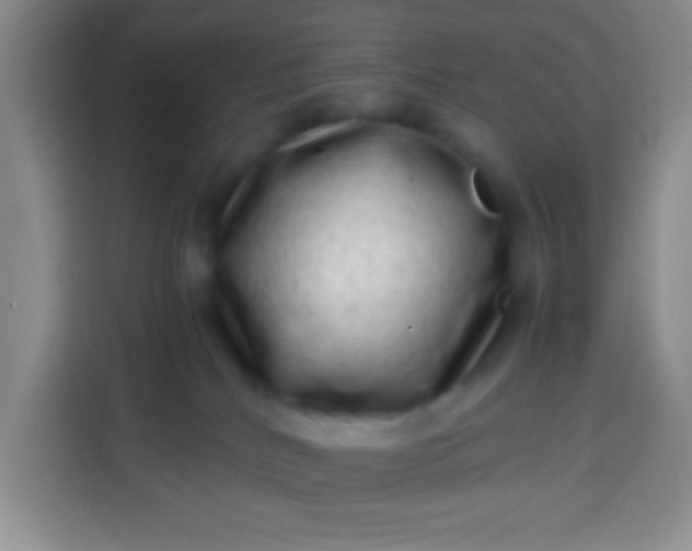 X0000113540040200910021358