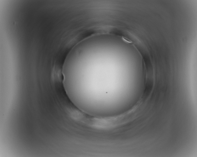 X0000113540045200910021358