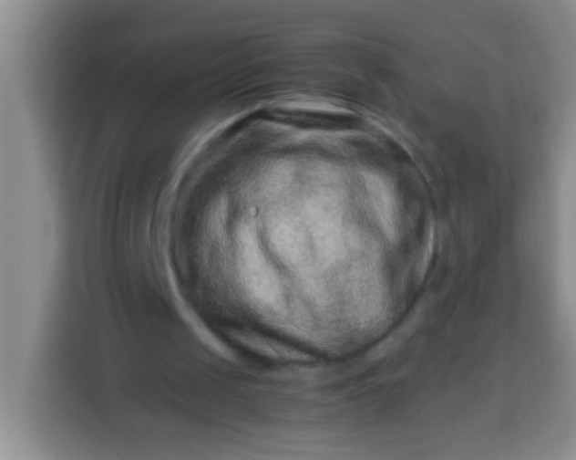 X0000113540049200910021357