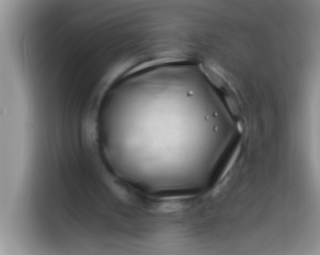 X0000113540050200910021357