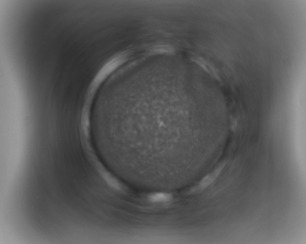 X0000113540053200910021357