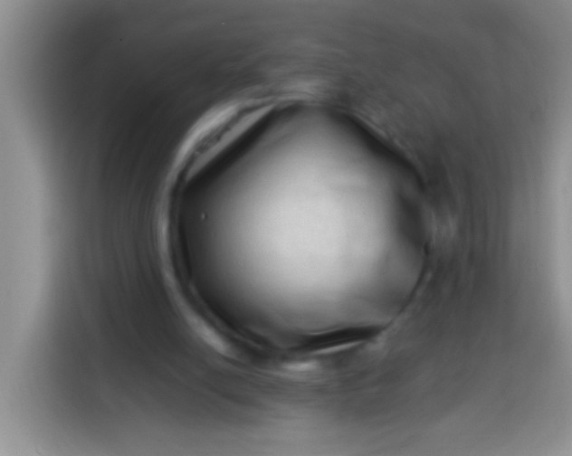 X0000113540054200910021357