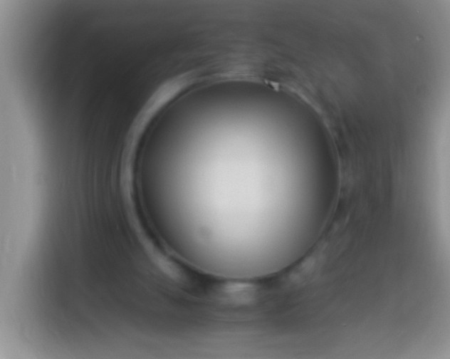 X0000113540055200910021357