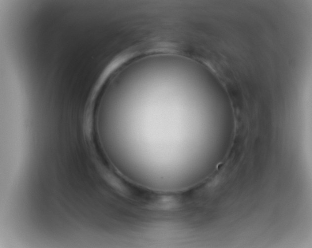 X0000113540056200910021357