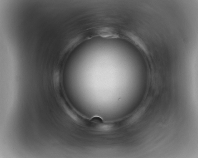 X0000113540057200910021358