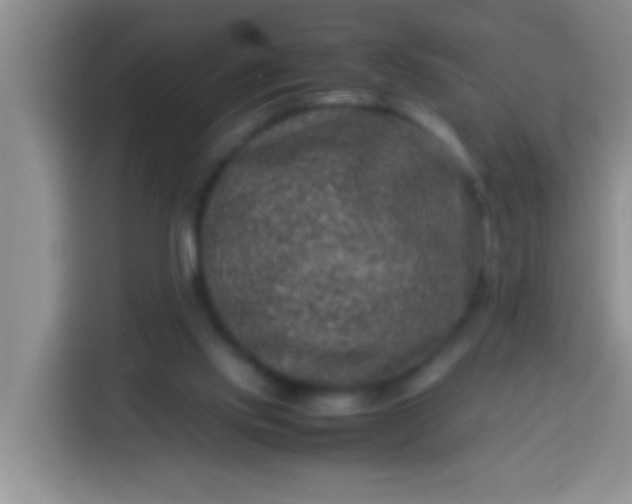 X0000113540061200910021358