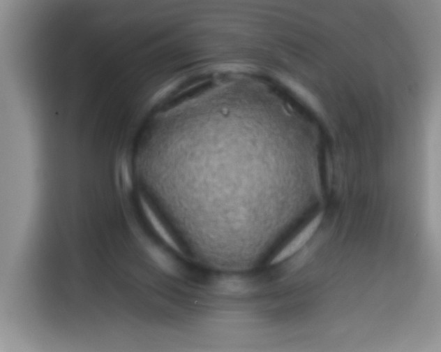 X0000113540062200910021358