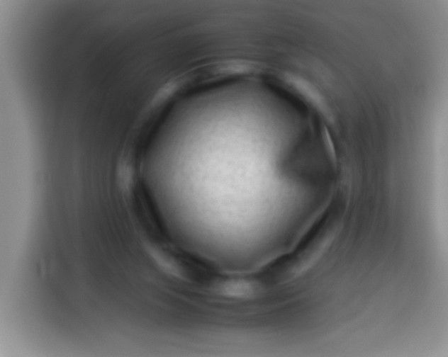 X0000113540063200910021358