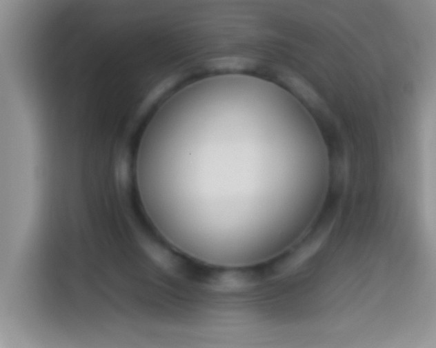 X0000113540064200910021358