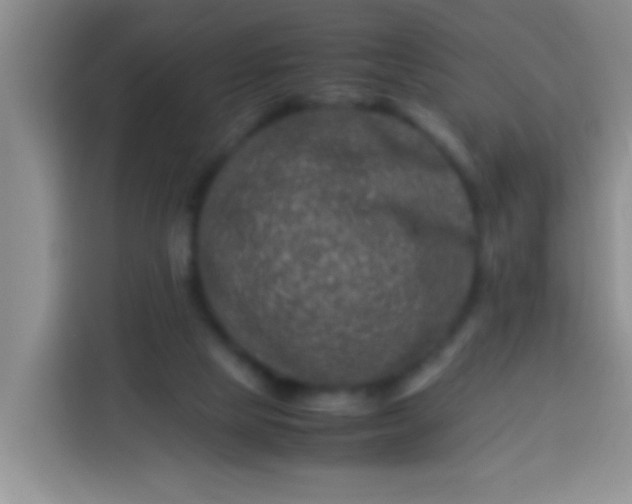 X0000113540065200910021358